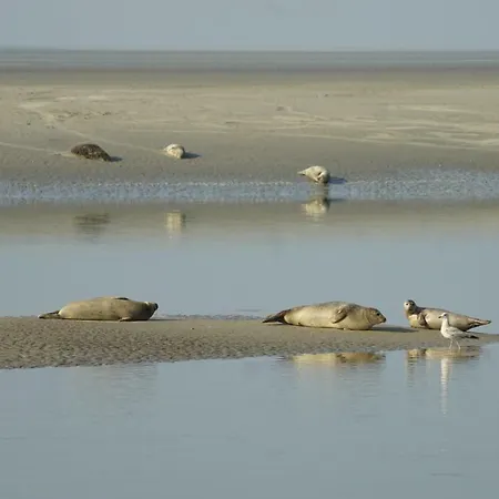 Дом отдыха La Pature Joyeuse En Baie De Somme Ponthoile